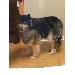 Thumbnail of photo in album