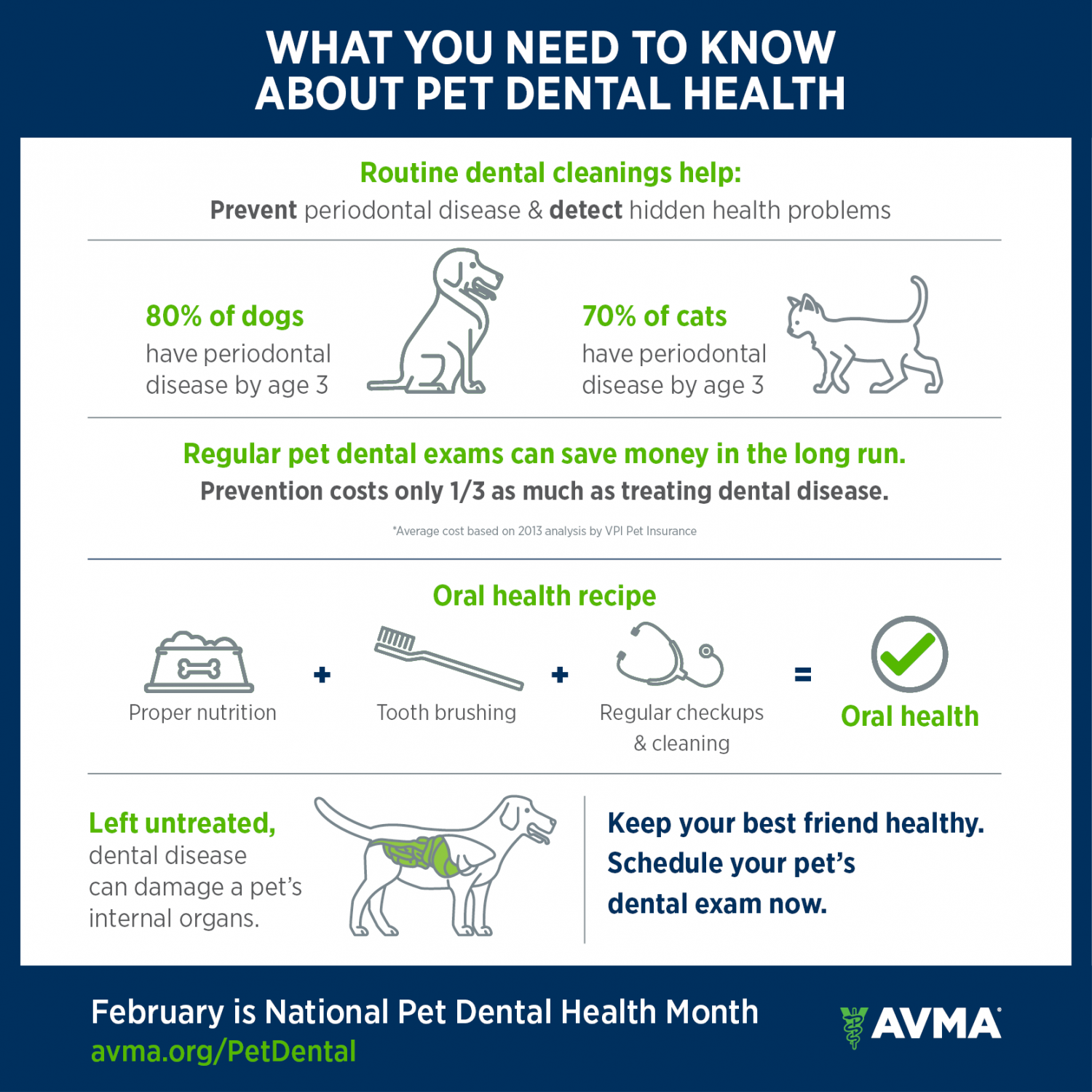 Dental Health Infographic