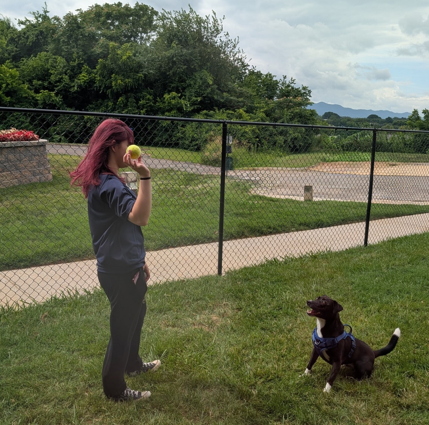 Off Leash area for Boarding Clients
